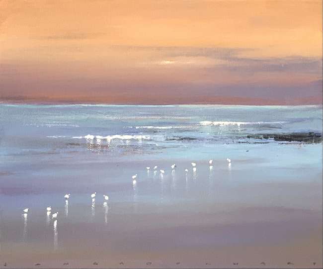 Jan Groenhart - Birds