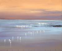Jan Groenhart - Birds