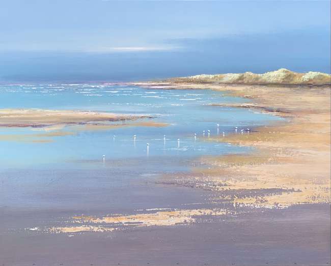 Jan Groenhart - Vogels bij het groene strand 