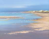 Jan Groenhart - Vogels bij het groene strand 