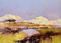 Jan Groenhart - De duinen