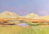 Jan Groenhart - Duinen