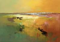 Jan Groenhart - Kleur op het land 