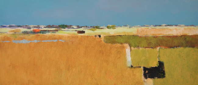 Jan Groenhart - polder in groen en geel