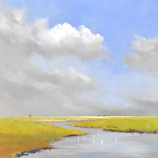 Jan Groenhart - Petmolentje  in de polder 