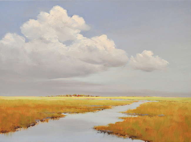 Jan Groenhart - Ruimte in de polder 